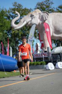 BIB: 
                            <button type="button" onclick="openModal(26545288)" class="btn btn-primary btn-sm float-right btn-popup" data-toggle="modal" data-target=".modal-high-quality">
                        <i class="fas fa-shopping-cart"></i> Add to Cart
                    </button>
                                            <button type="button" onclick="isThisMe(26545288, true)" class="btn btn-success btn-sm float-right btn-popup btn-isme hidden" data-toggle="tooltip" data-placement="bottom" title="นี่คือรูปของคุณใช่ไหม คลิกที่นี่เพื่อเอาเข้าอัลบั้ม">
                        <i class="fas fa-plus"></i> Add to album
                    </button>
                    <button type="button" onclick="isThisMe(26545288, false)" class="btn btn-warning btn-sm float-right btn-popup btn-isnotme hidden">
                        <i class="fas fa-ban"></i> Remove from album
                    </button>